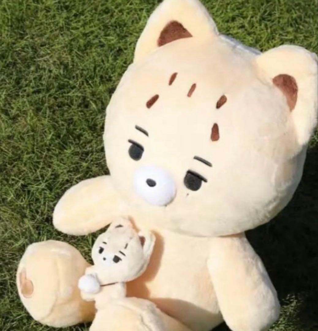 ENHYPEN ニキ　マスター　ぬいぐるみ　40cm おまけ付き