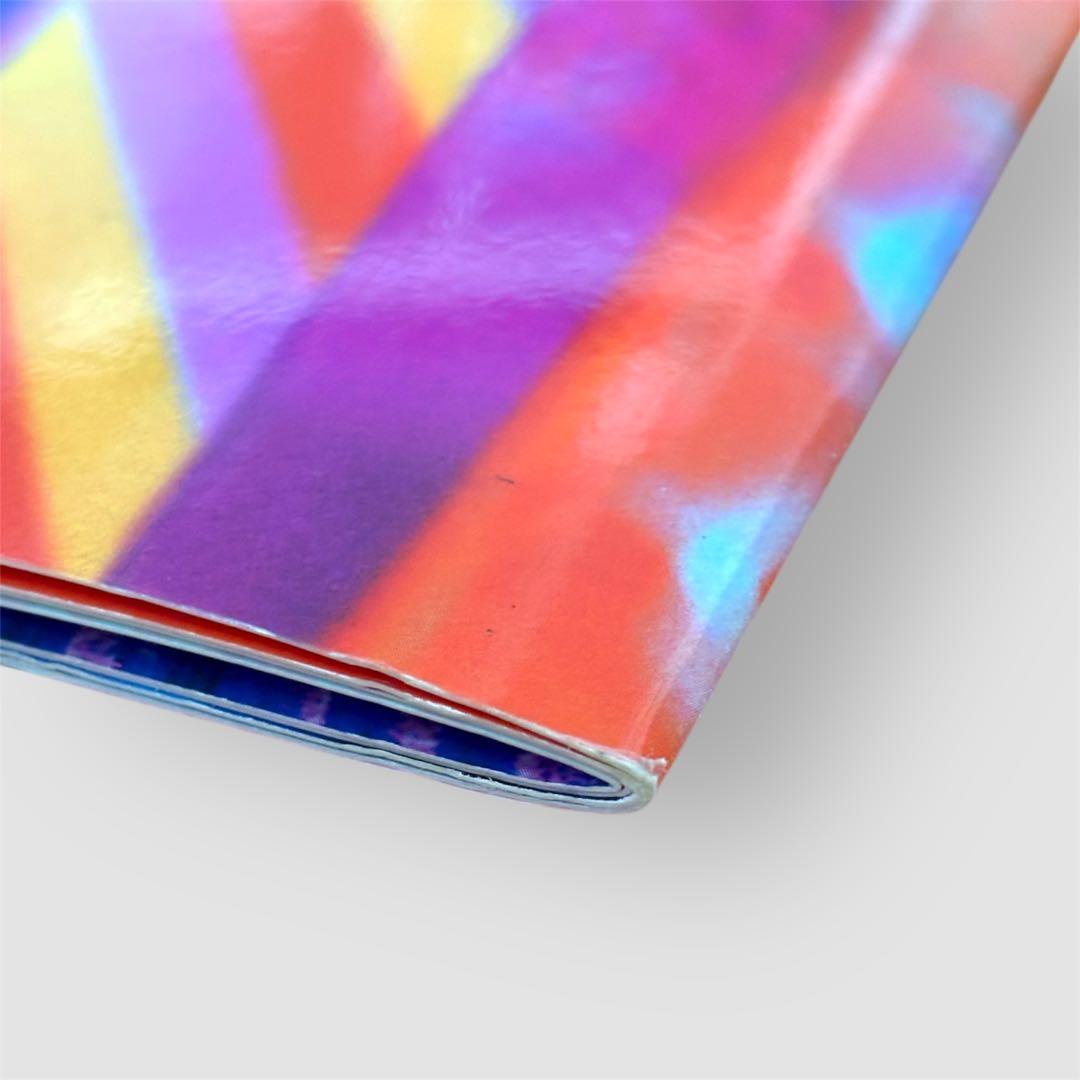 【極美品】ビョーク 1996年来日公演パンフレット Bjork ‘96日本ツアー