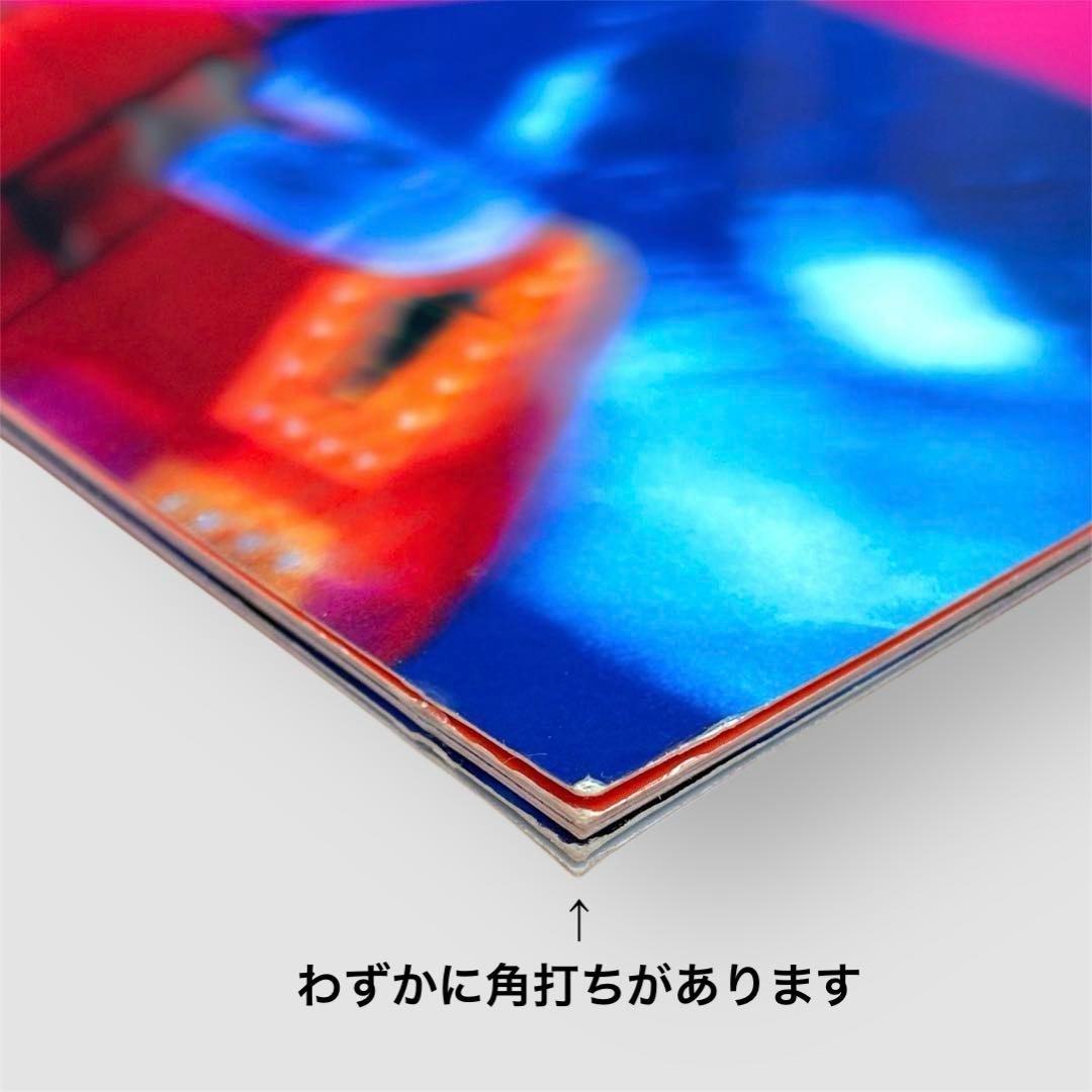 【極美品】ビョーク 1996年来日公演パンフレット Bjork ‘96日本ツアー