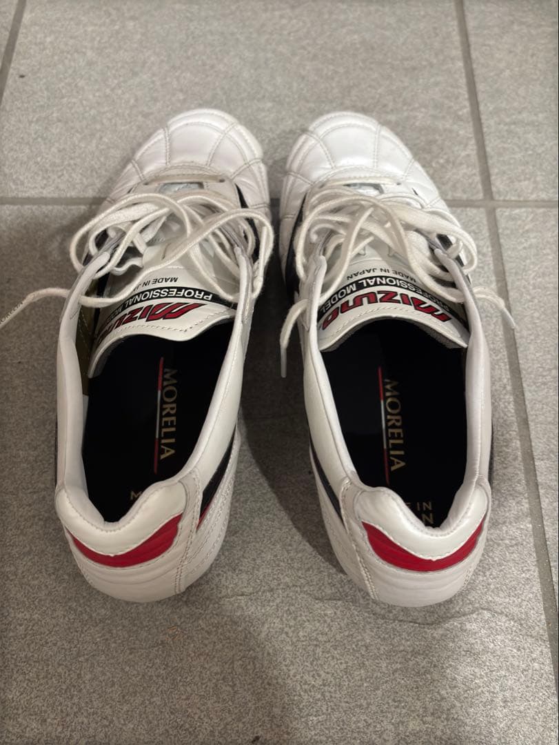 【us21様】モレリア2 クロスステッチ　25.5cm