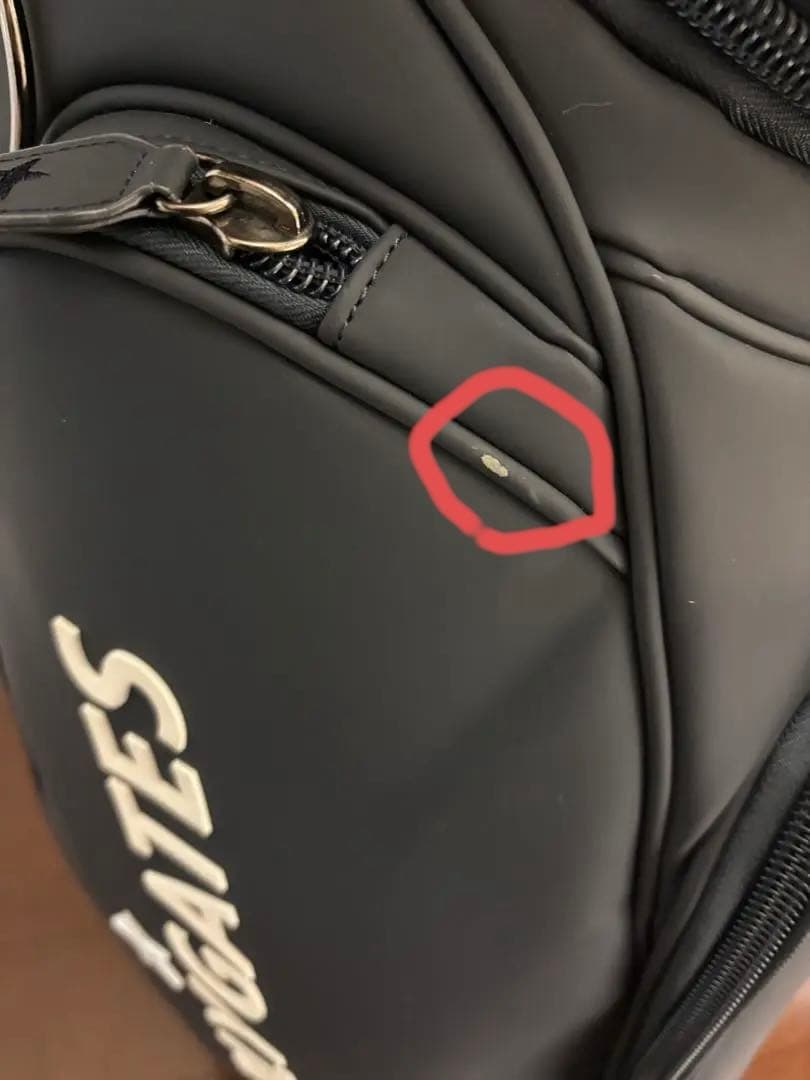 PEARLY GATES 〜 星に願いを 〜