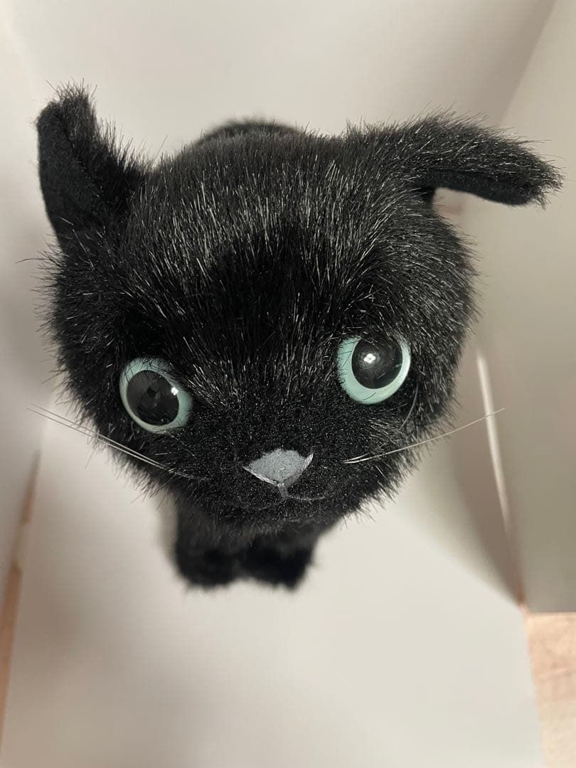 カドリー　黒猫のぬいぐるみ