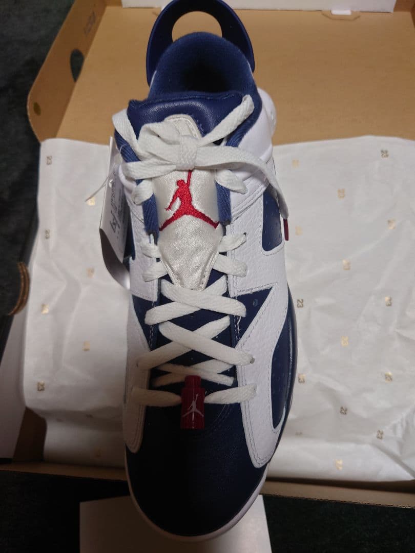 Nike Air Jordan 6 ゴルフシューズ