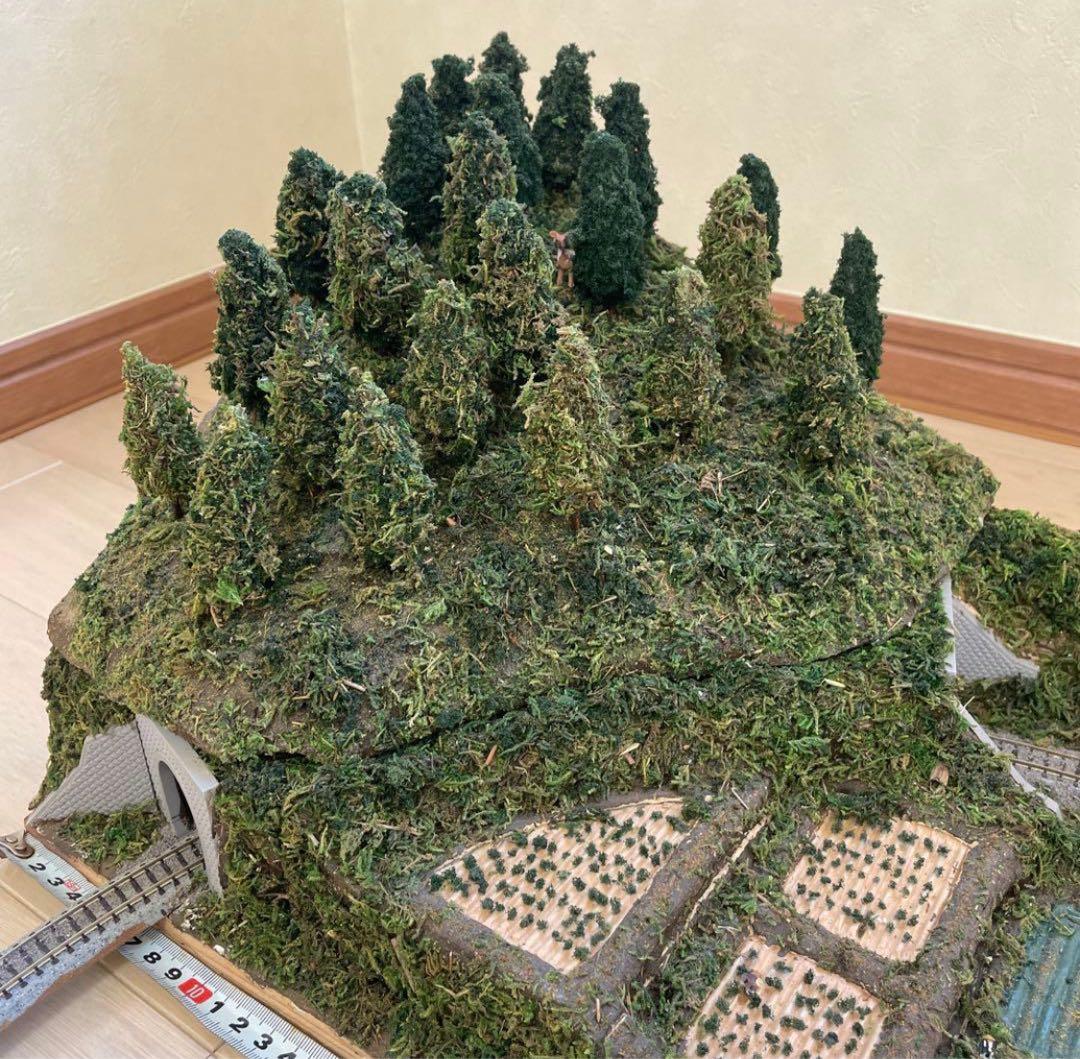 Nゲージ ジオラマ 田舎の風景　山　トンネル50cm×30cm