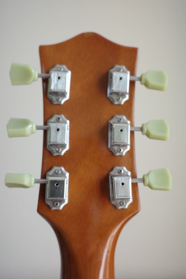 や*ー様 FIBONACCI GUITARS ProtoModel ES-335