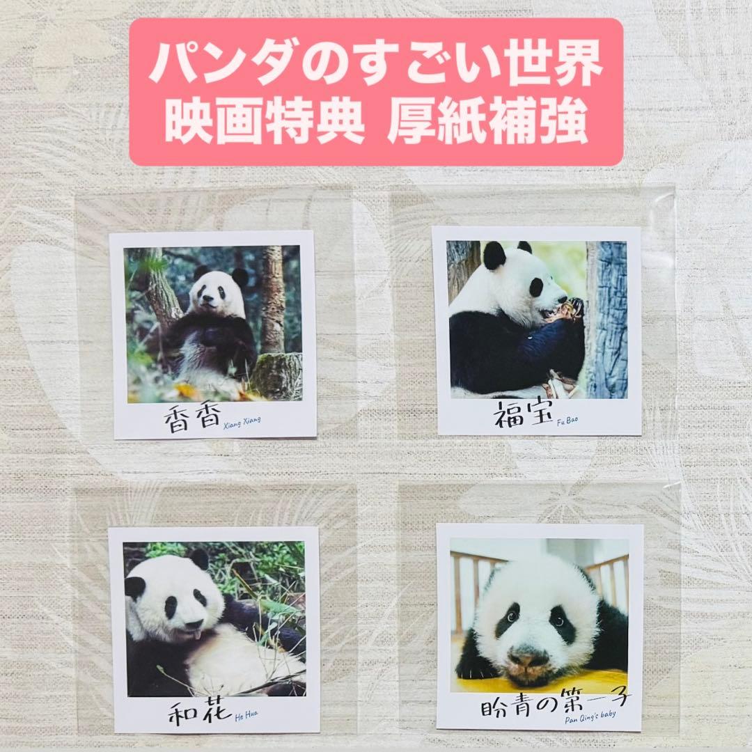 パンダのすごい世界　香香　福宝　和花　盼青の第一子　入場者特典　入場　特典
