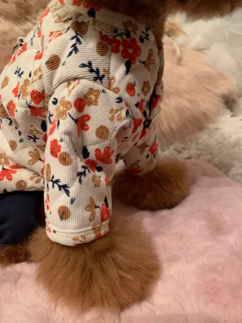 ⑅⃝︎k.t.r-725様おまとめ用です⑅⃝︎