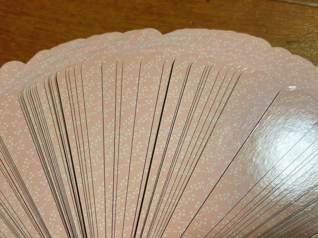 ちはやふる かるた入門編 ちはやと覚える 百人一首 暗記カード セット CD