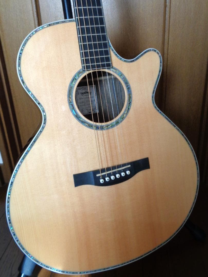 HEADWAY HSJ-5115SE/ZR　エレアコ　美品！　純正ギグバッグ付属