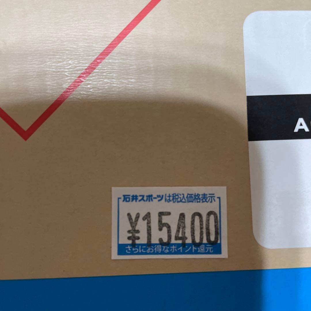 ALPINAスノーボードヘルメット　美品