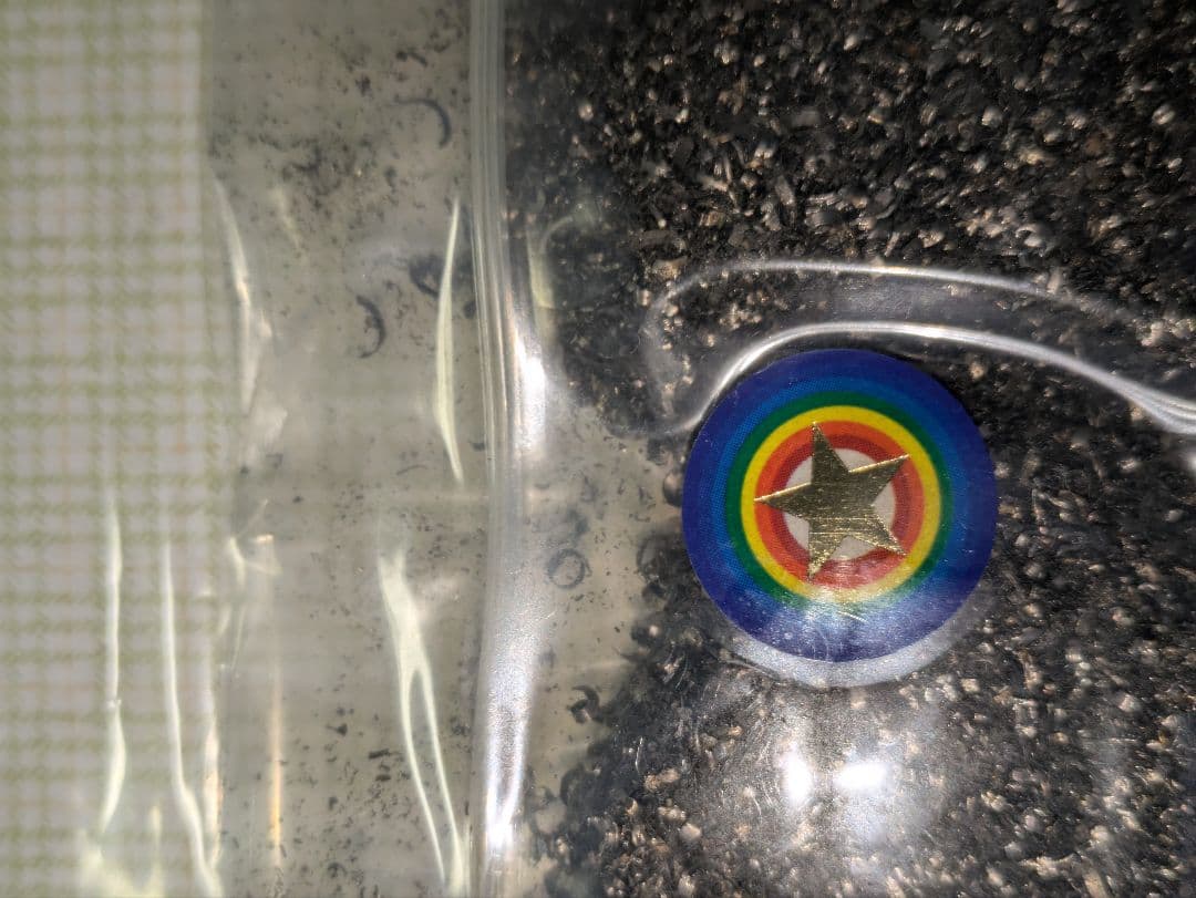 隕石の粉　ギベオン　宇宙村　重量20グラム