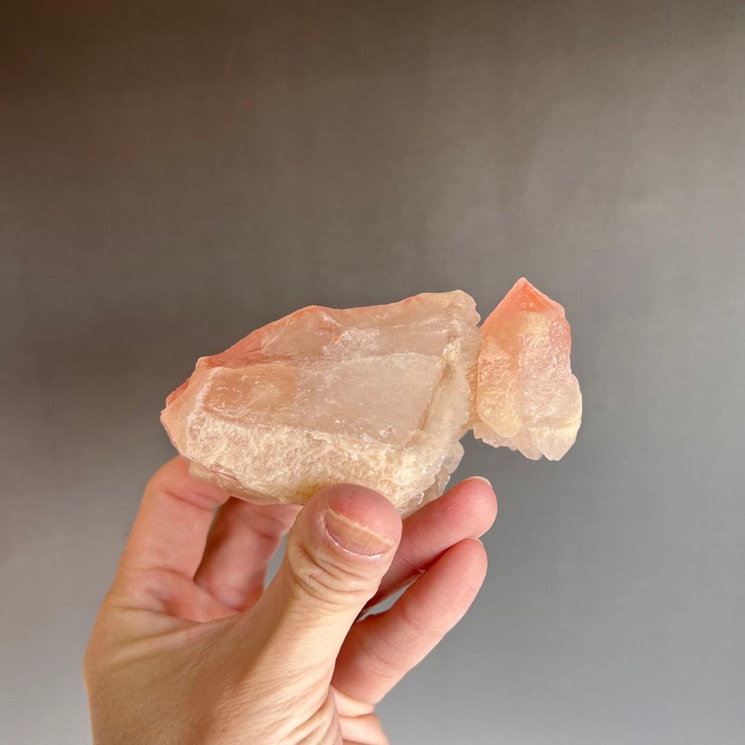 超レア　金魚型ストロベリーレムリアン　　クラスター　　可愛い