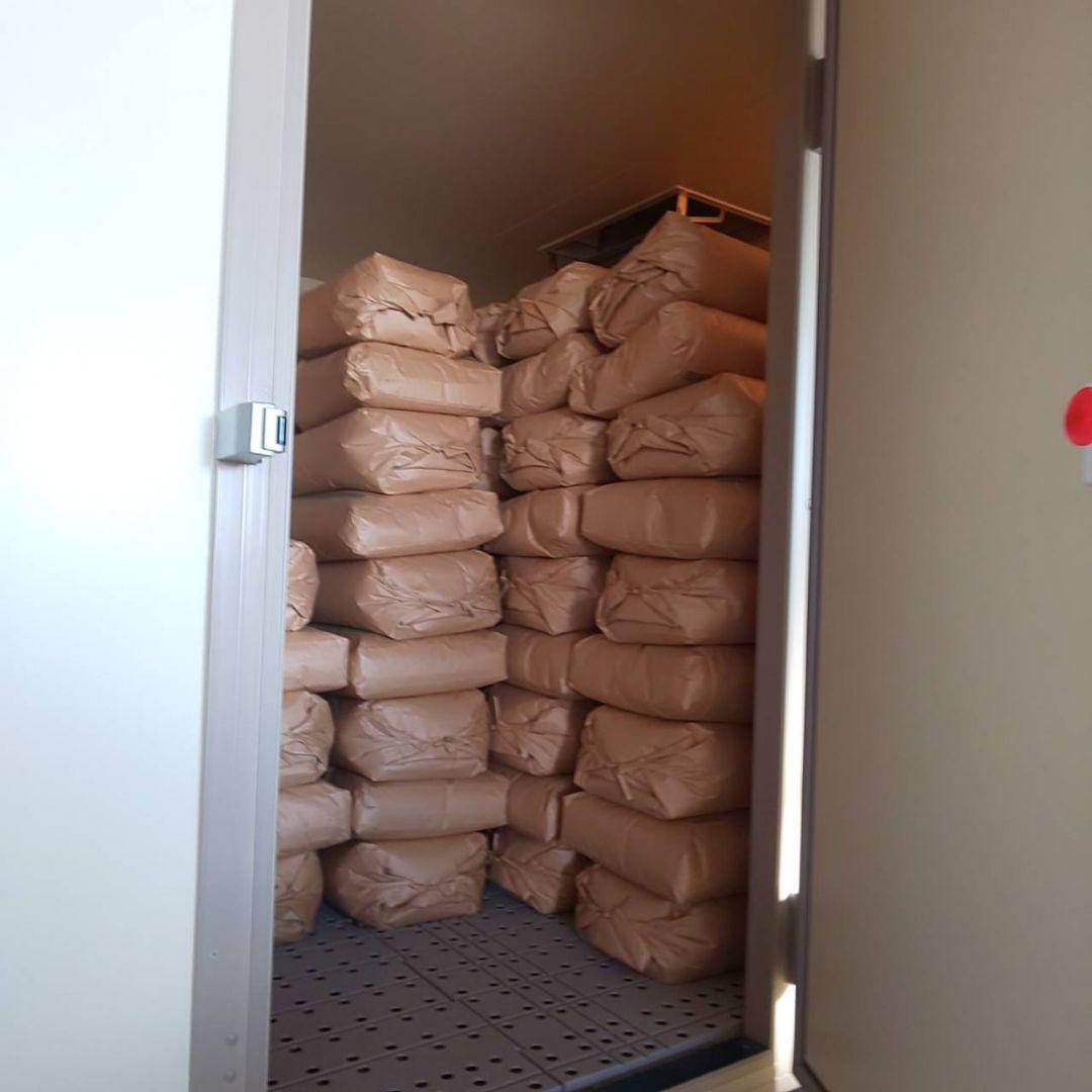 【綺麗な大粒揃い】農薬不使用 化学肥料不使用 ヒノヒカリ 玄米 20kg