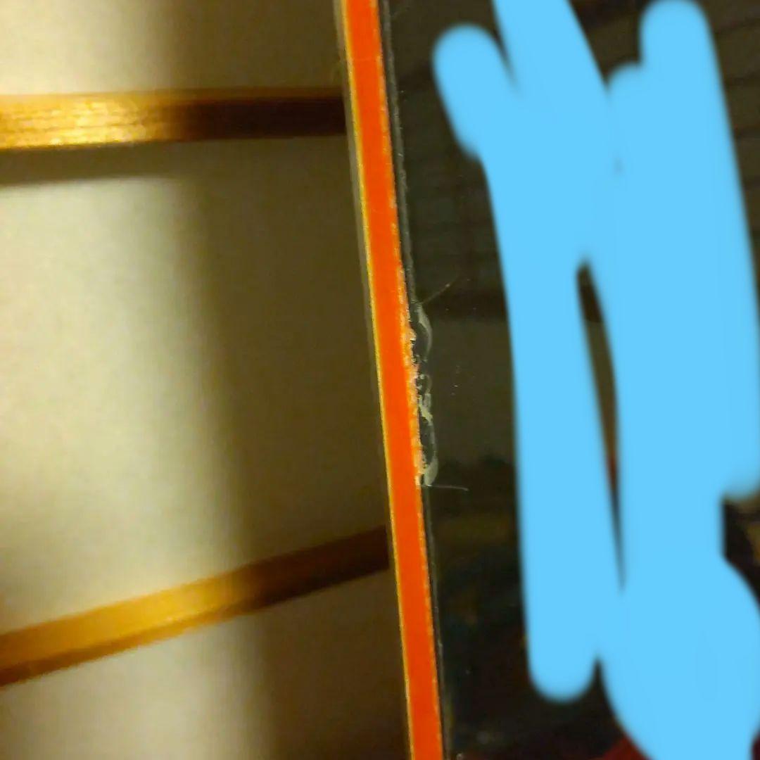 santacruz 151 salomon hologram mサイズ