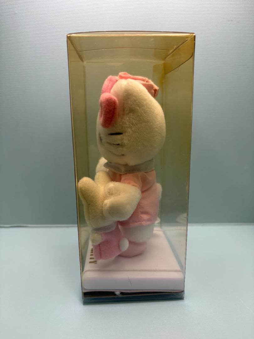 ハローキティ　クリアケース入りぬいぐるみマスコット　うさぎちゃんと一緒　ナース