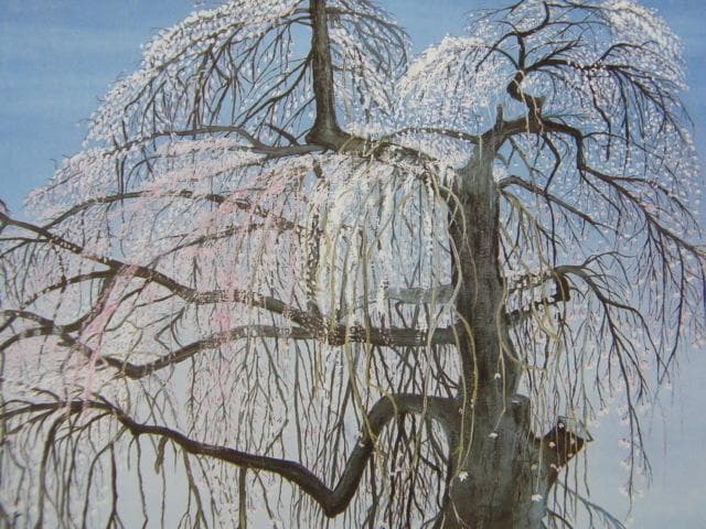 山本豊子、【清雲寺　枝垂エドヒガンザクラ】、希少な額装用画集より