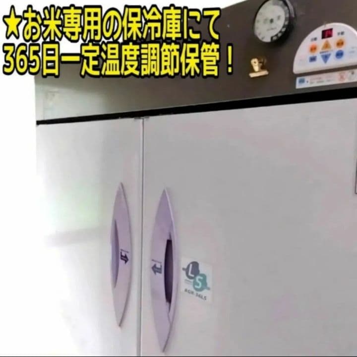 令和7年産 茨城県産 コシヒカリ 白米 精米代込み 10Kg 10キロ a