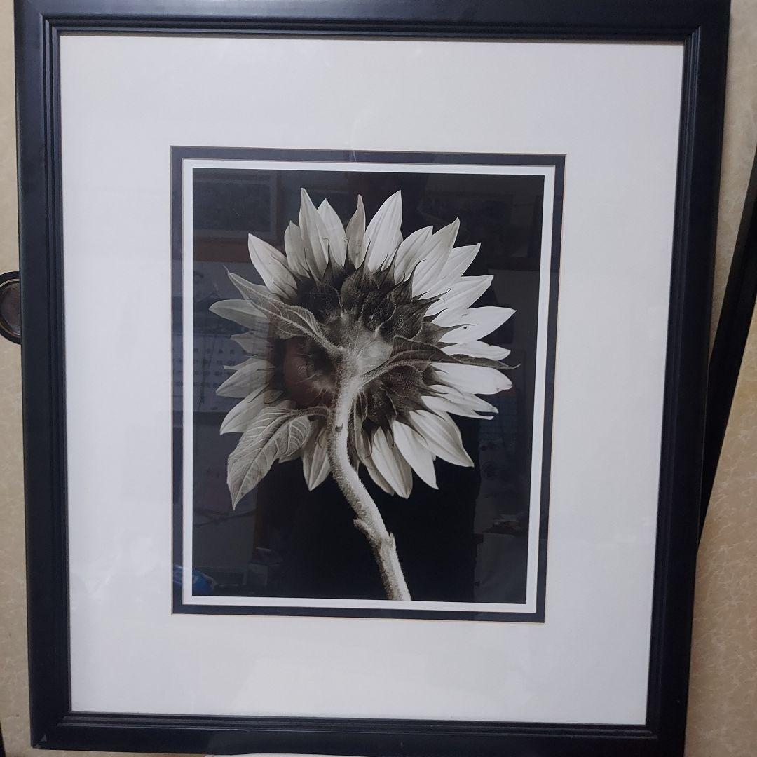 アートフォト作品ひまわり