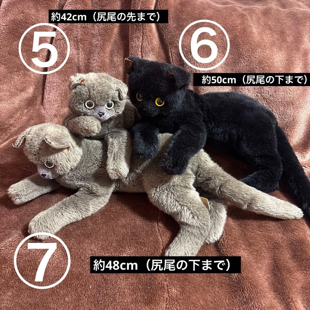 【大量】寝そべりたくさん猫＋αぬいぐるみセット【まとめ売り】