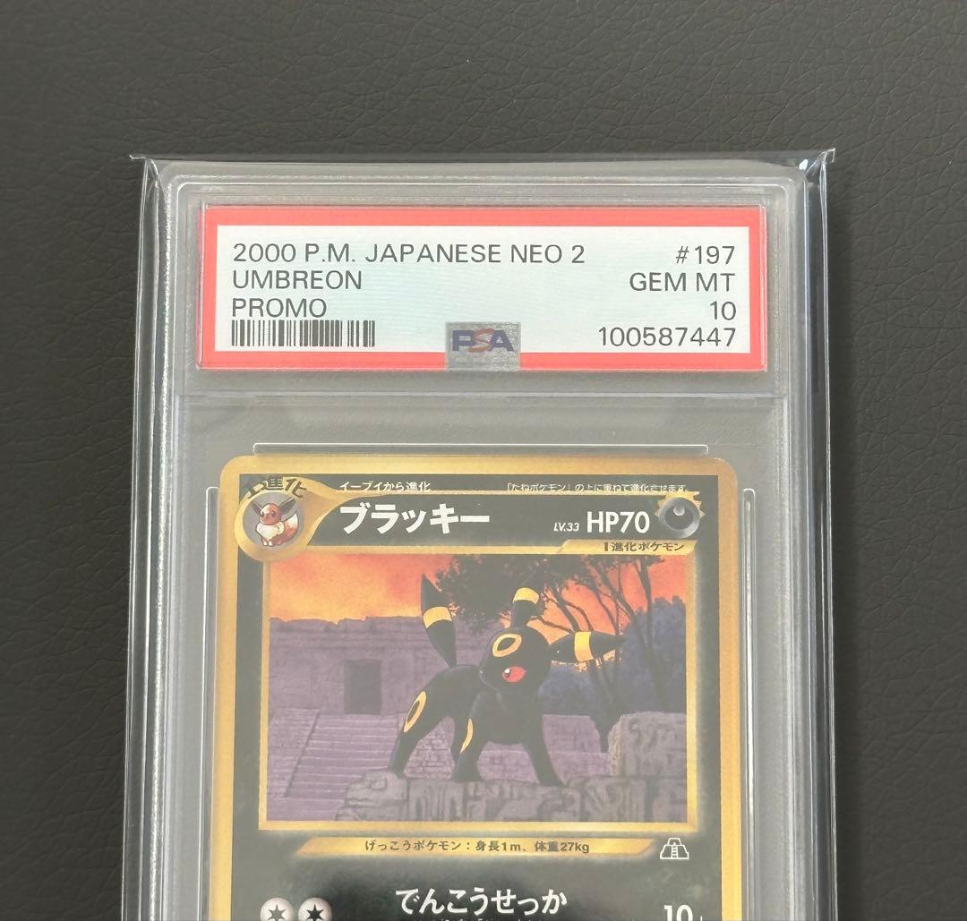 ポケモンカード 旧裏 ブラッキー プレミアムファイル PSA10