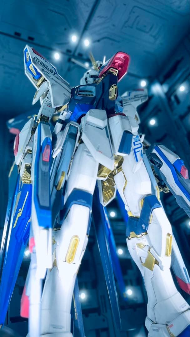 PG ストライクフリーダム　全塗装、完成品