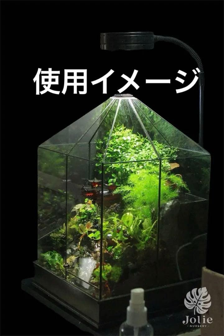 手作りガラス温室風テラリウムケース