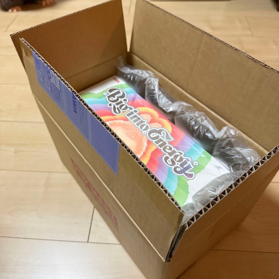 【新品未開封・正規品】ラブブBig into Energy アソートボックス1箱
