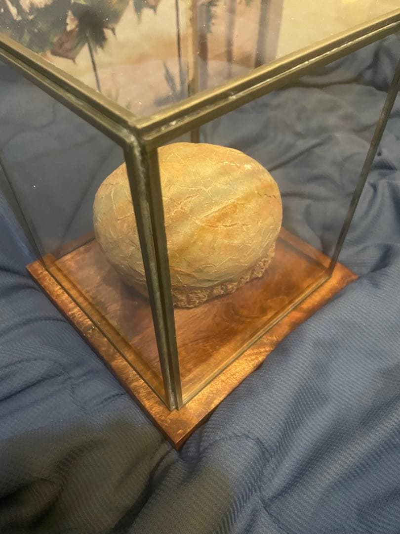 【入手困難】恐竜の卵　化石　ハドロサウルスの卵　SP1