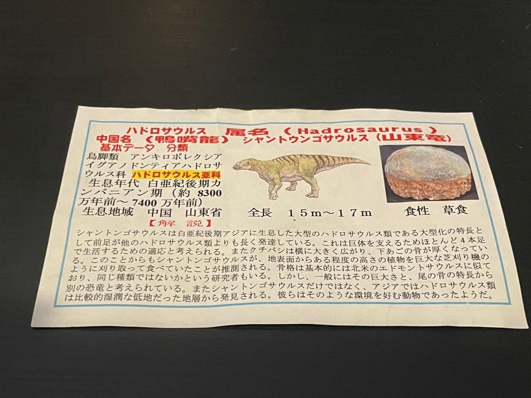 【入手困難】恐竜の卵　化石　ハドロサウルスの卵　SP1