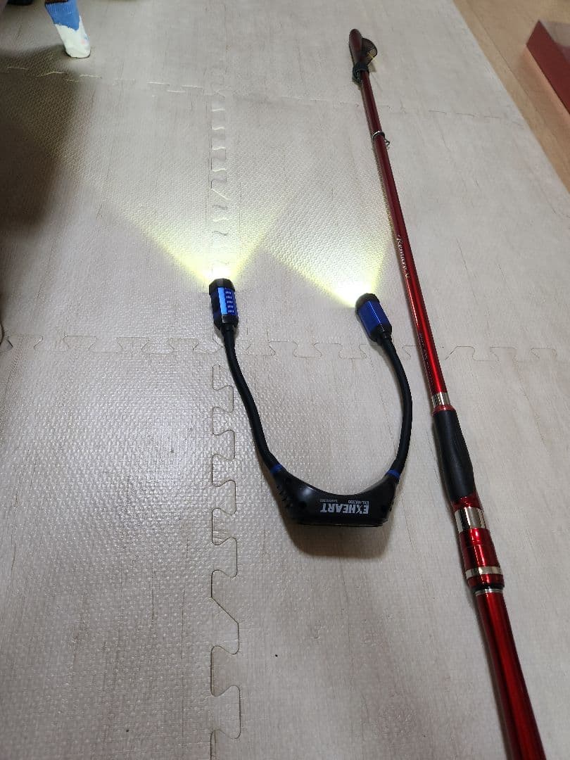 17レマーレ V 　磯竿