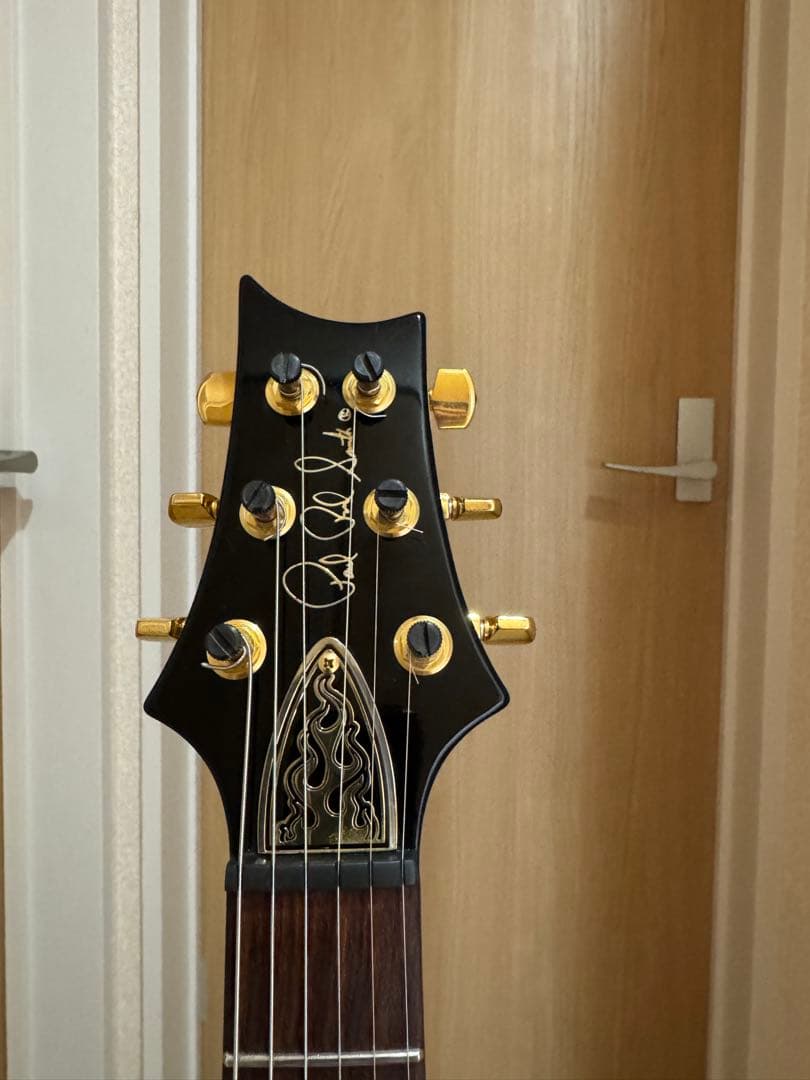 PRS Custom 24 10 top ステンレスフレット　 カスタム多数
