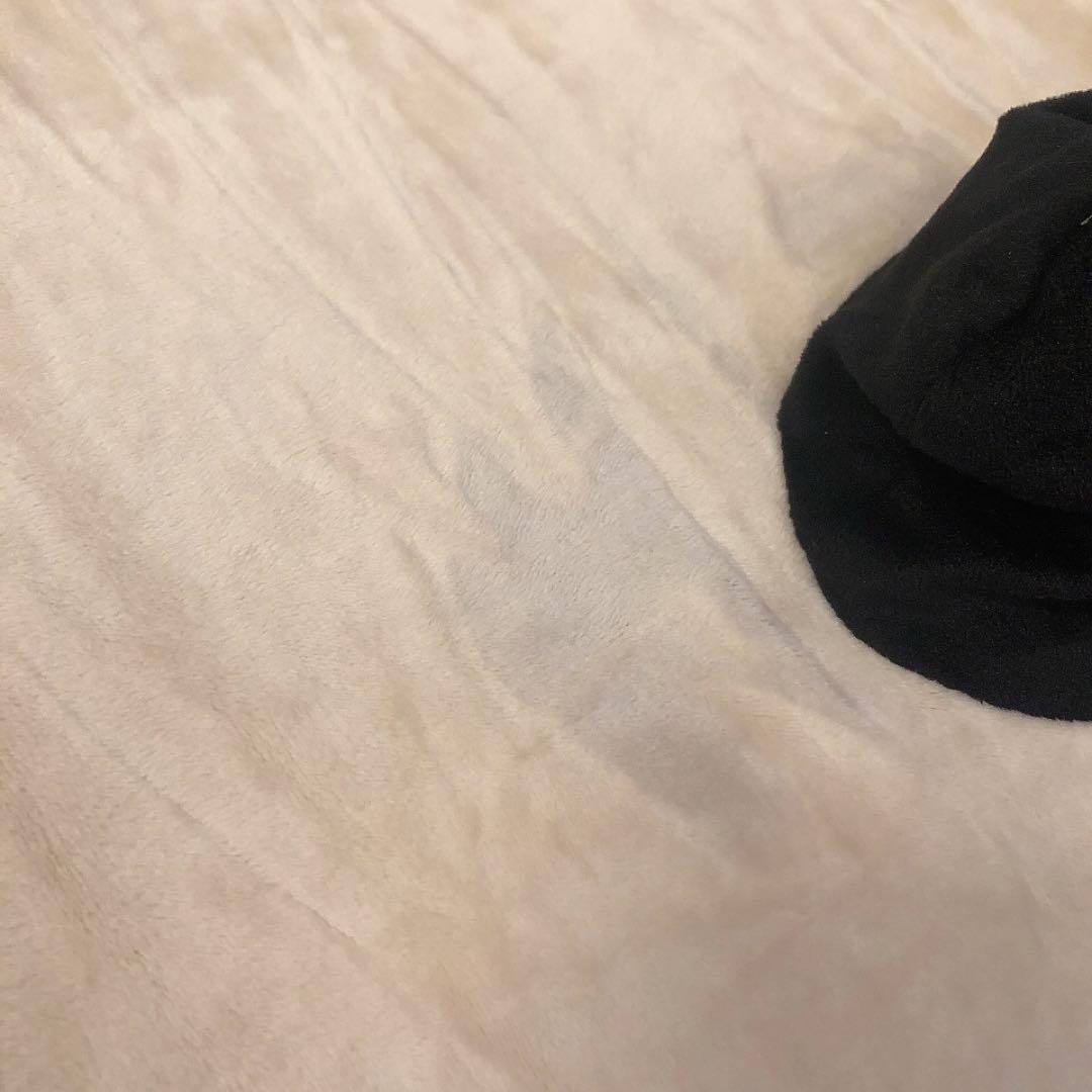 【希少品】ごろねこサミット 超サミット ぬいぐるみ トウメ