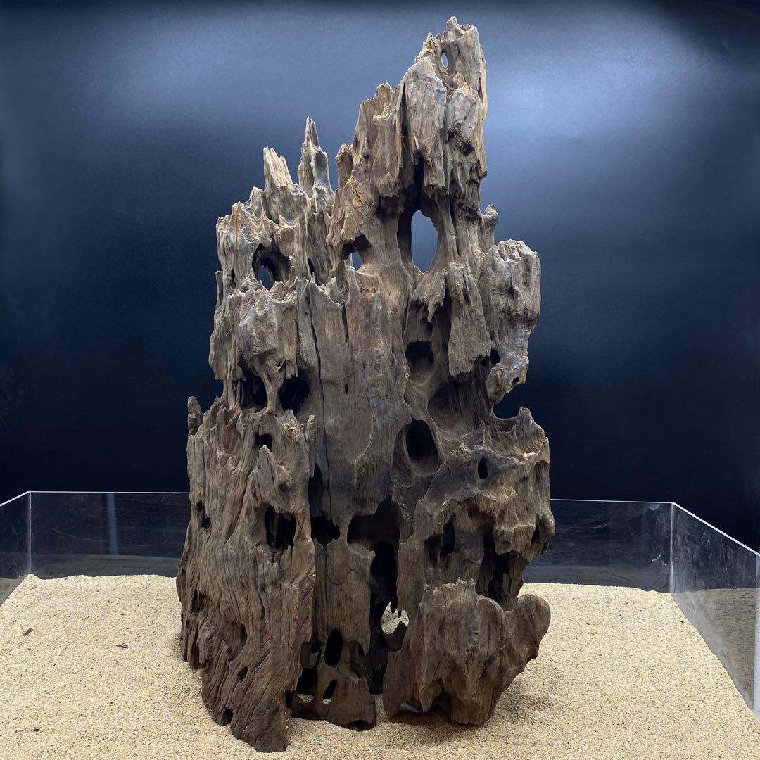 MMW-6273 特大マシンガンウッド　自立一点物　流木　アクアリウム