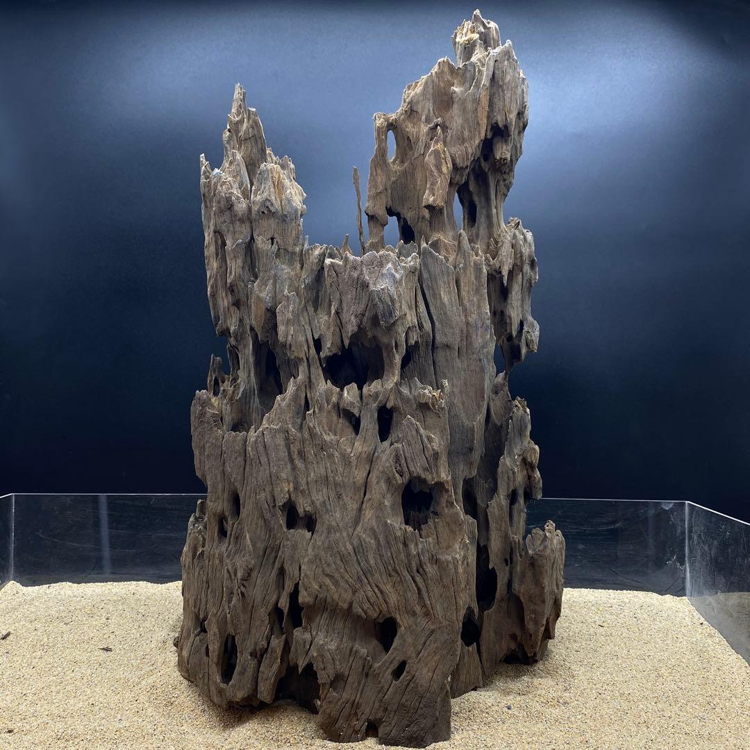 MMW-6273 特大マシンガンウッド　自立一点物　流木　アクアリウム