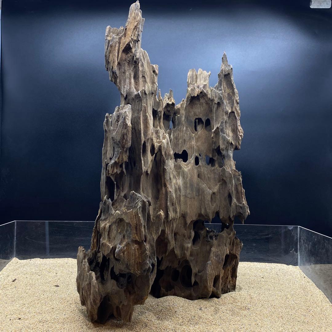 MMW-6273 特大マシンガンウッド　自立一点物　流木　アクアリウム