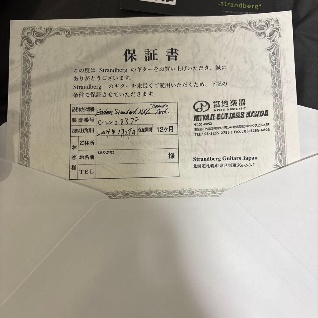 ギター strandberg Boden Standard NX 6