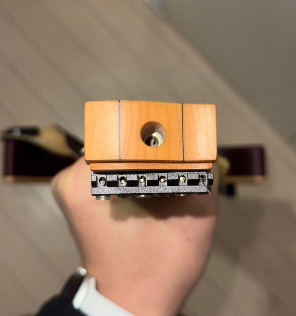 ギター strandberg Boden Standard NX 6