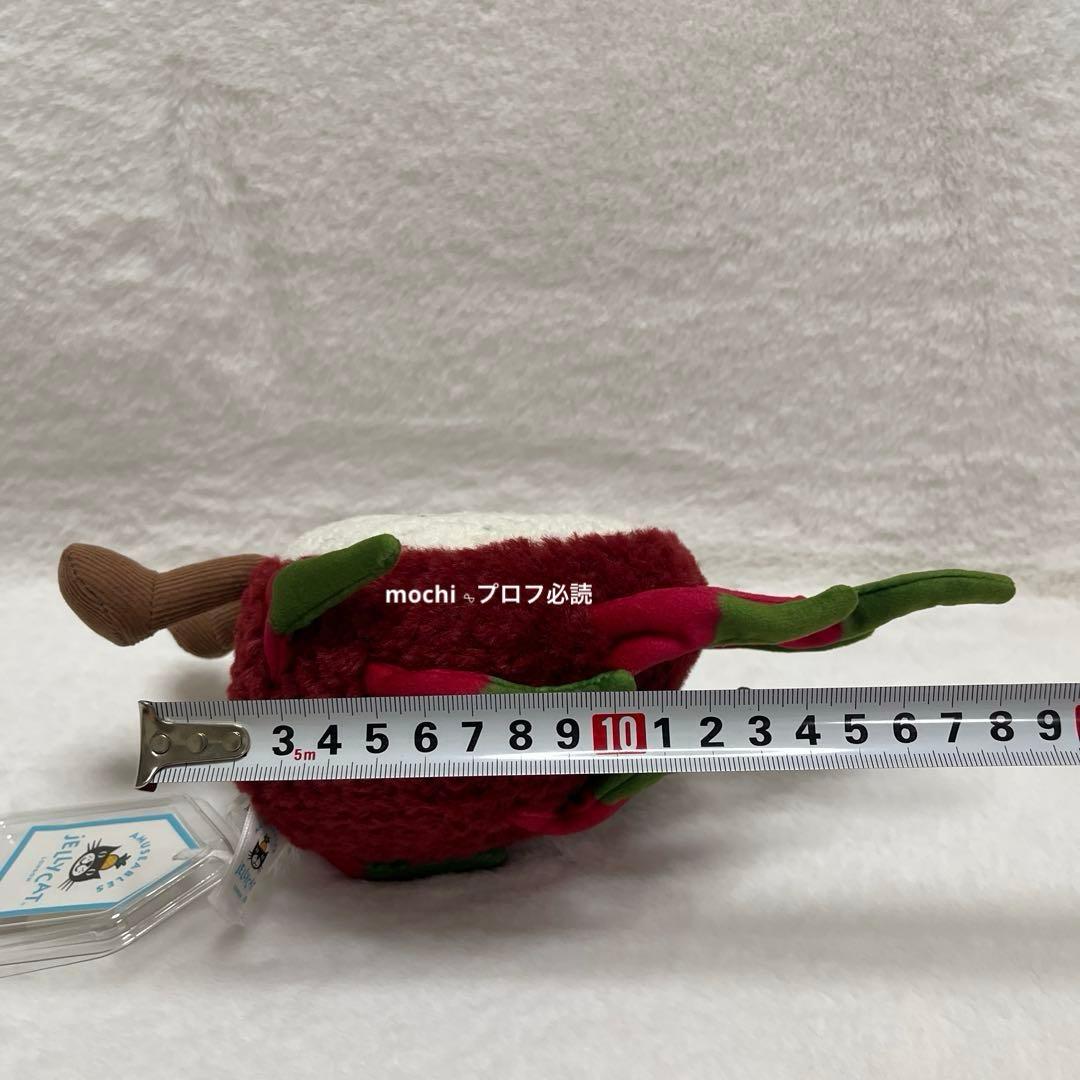  AmuseablesDragonFruitドラゴンフルーツ