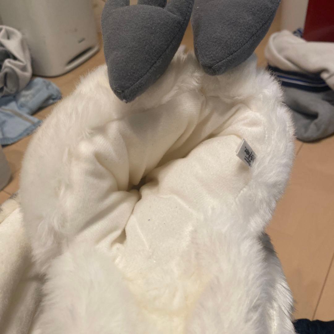 ハリポッターの鳥