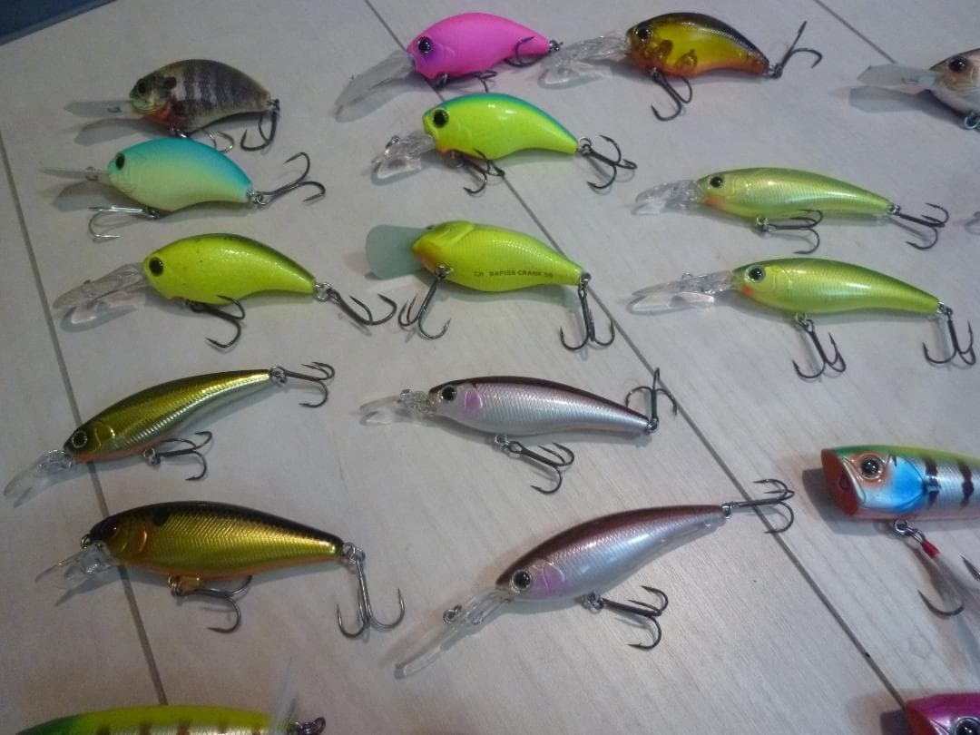 エバーグリーン　ダイワその他セット