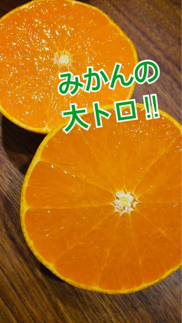 せとか 10玉 2箱セット