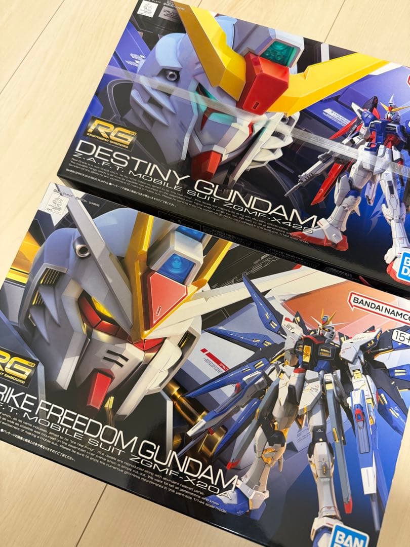 RG ストライクフリーダムガンダム & デスティニーガンダム 1/144