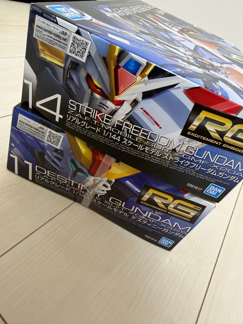 RG ストライクフリーダムガンダム & デスティニーガンダム 1/144