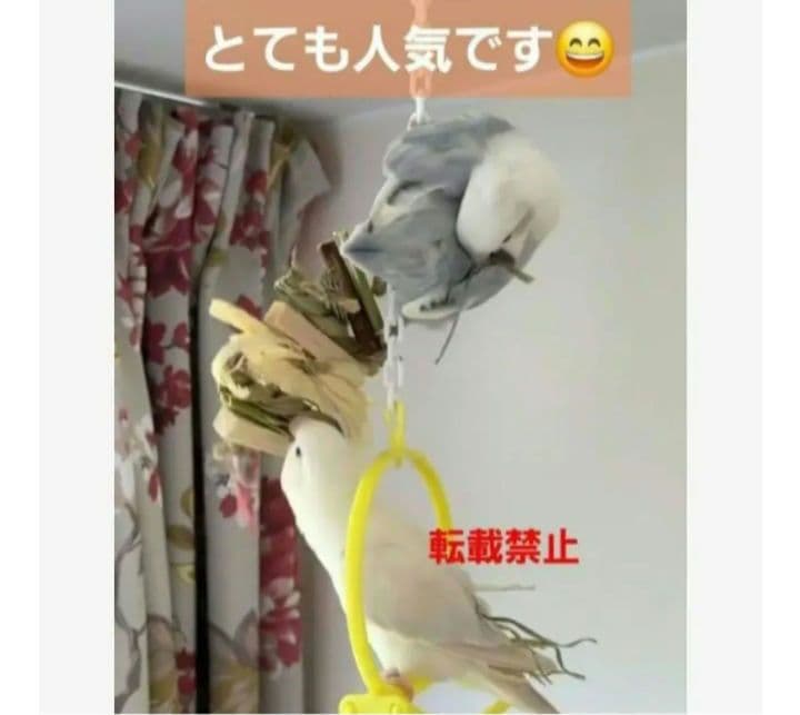 v99　自然素材　ハミハミ吊り下げおもちゃ　文鳥　インコ　バードトイ　バルサ