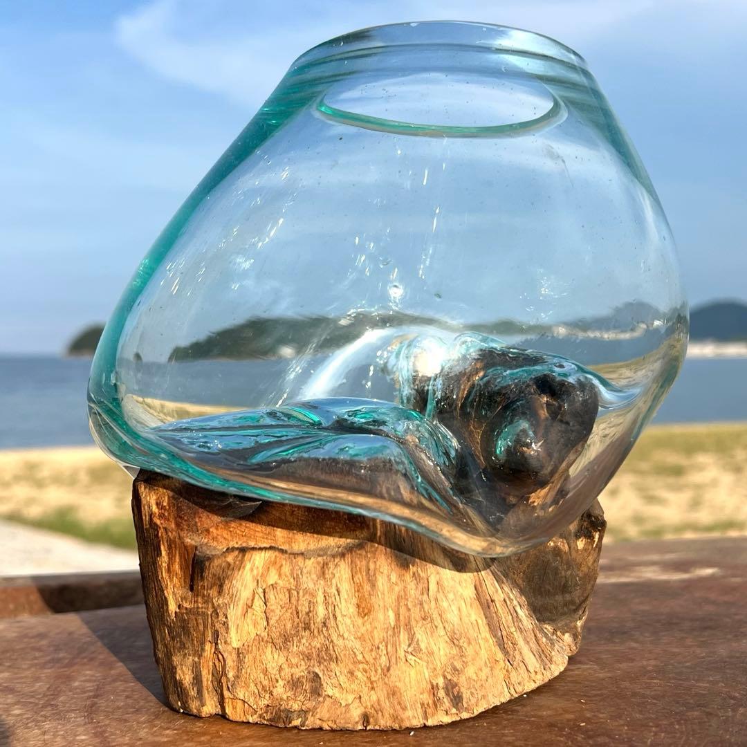 流木ガラス オブジェ中S 花瓶 金魚鉢 ガーデニング テラリウム 観賞魚 容器