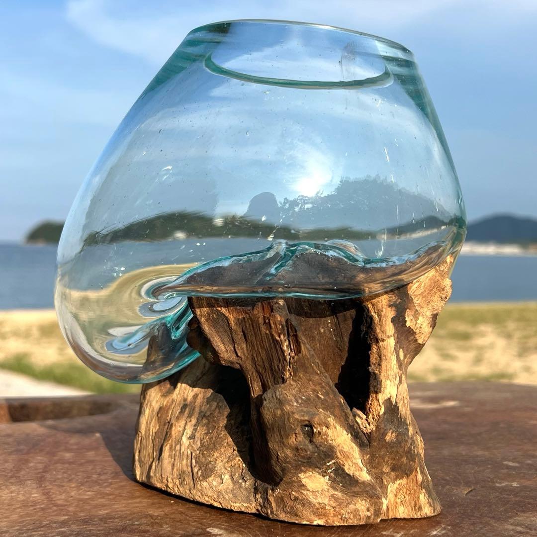 流木ガラス オブジェ中S 花瓶 金魚鉢 ガーデニング テラリウム 観賞魚 容器
