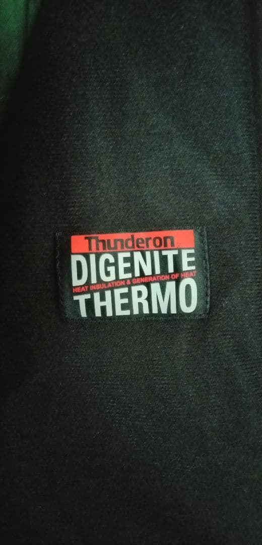 phenix スキーウェア上下 メンズOサイズ