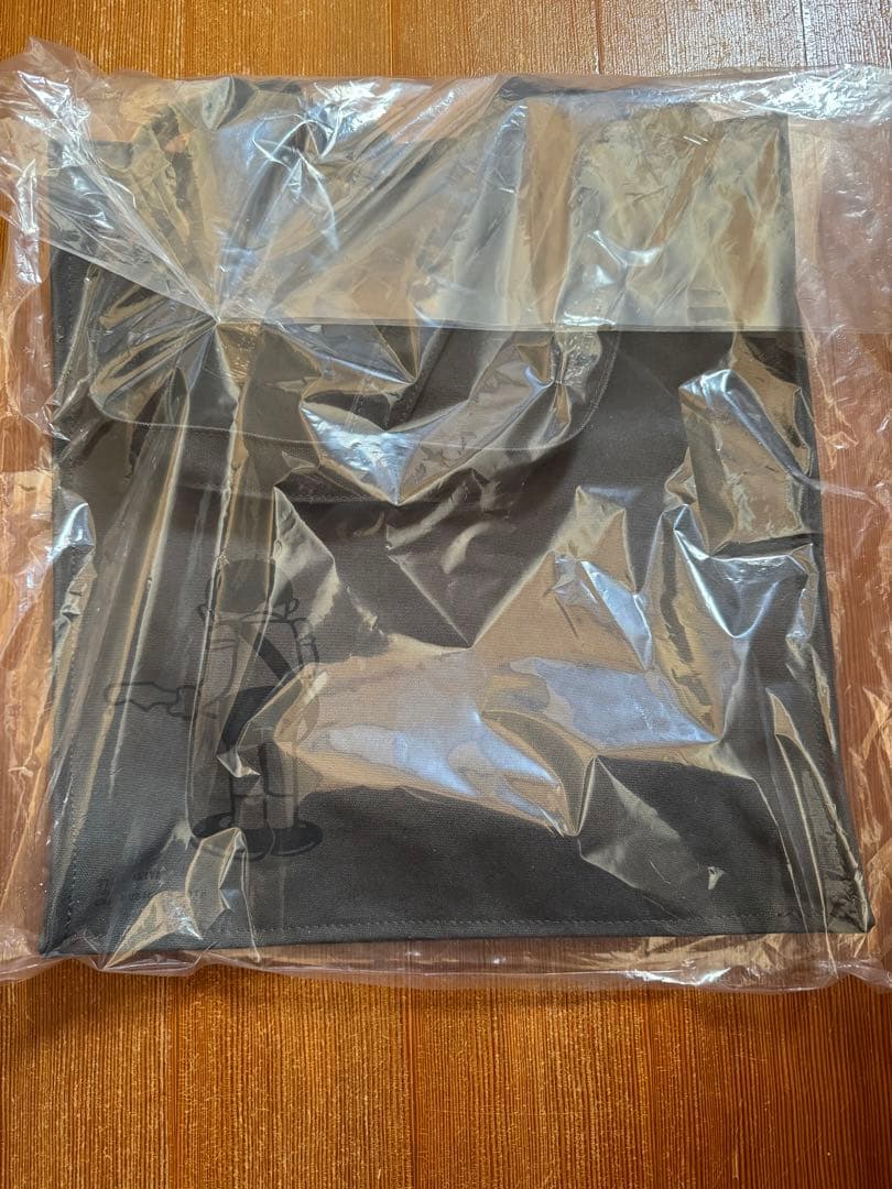 ラッドミュージシャン ✕ ドラえもん レコードショルダーバッグ グレー