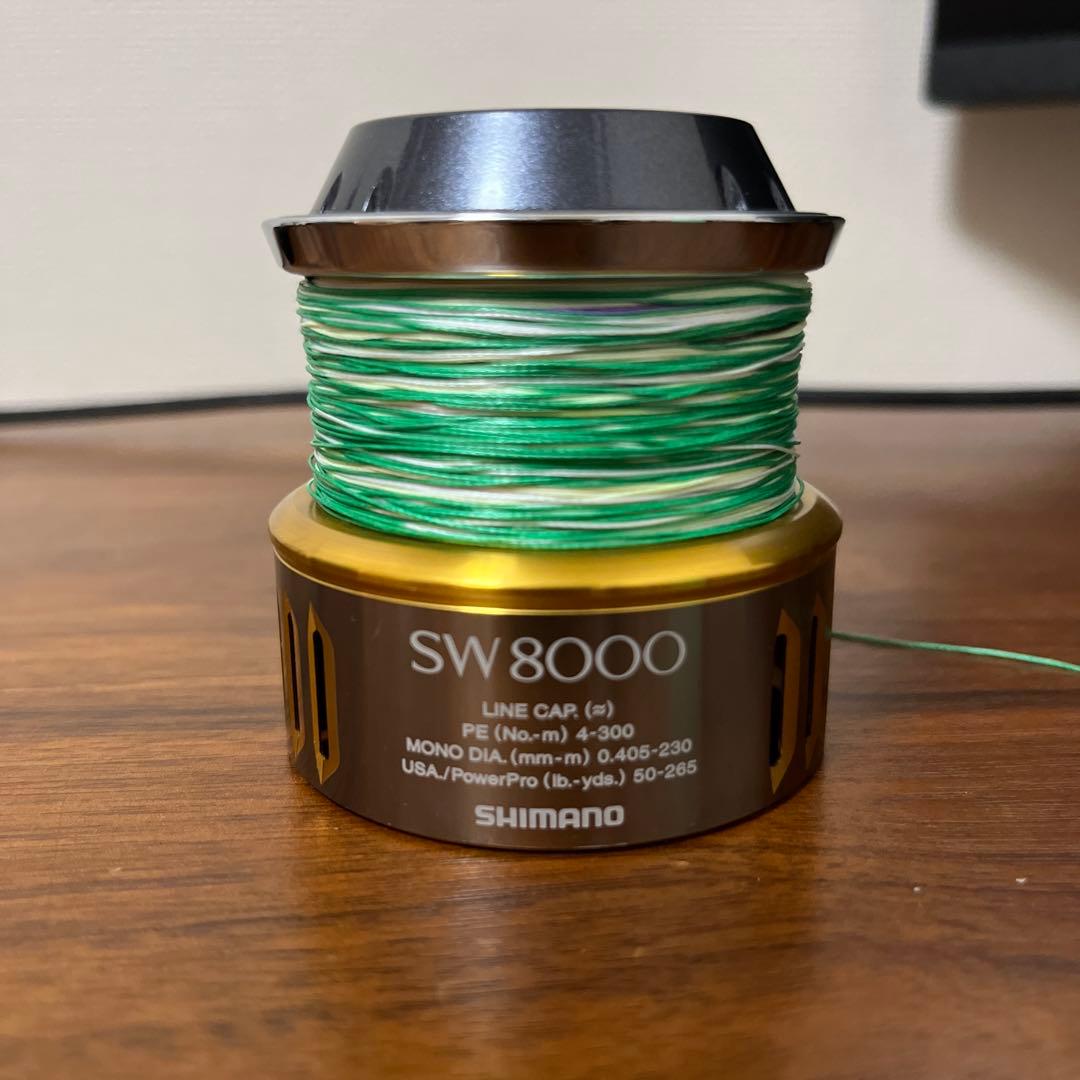 15 ツインパワー sw 8000 スプール