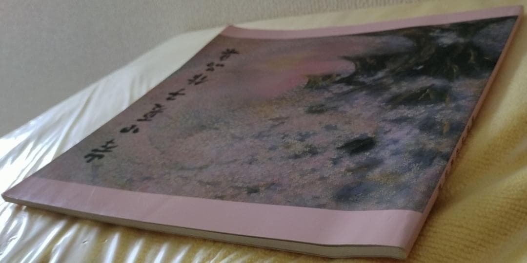 図録 岸田夏子作品集